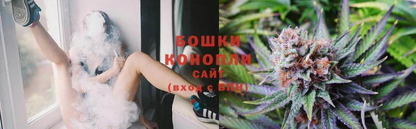 шишки Балабаново