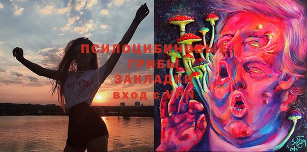 эйфоретик Балахна