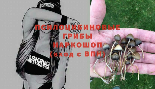шишки Балабаново